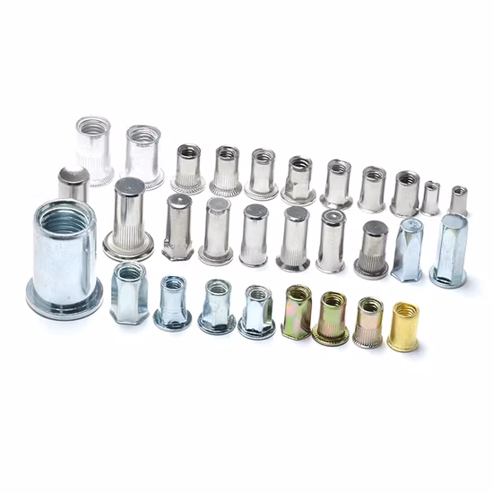 Reduced Csk Head Stainless Steel Rivet Blind Rivet Plain Body Closed End Rivet Nuts and Bolt