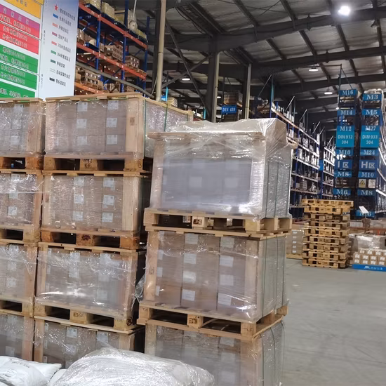 Stainless Steel Hex Nut /Flange Nut/Hex Nylon Lock Nut/ Spring Nut /Eye Nut/Acron Nut T Nut with High Quality (DIN934 DIN6923 DIN985 DIN557 DIN1587)