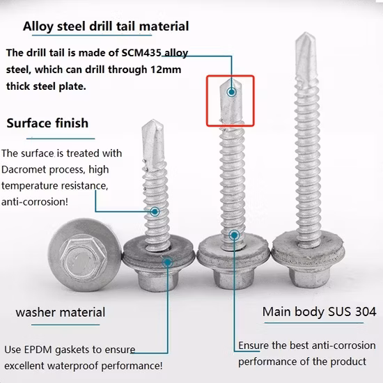Stainless Steel Machine Screw /Self Tapping Drilling Screw/Set Screw/Furniture Screw/Roofing Screws